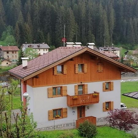 B&B Il Tulipano San Pietro di Cadore Εξωτερικό φωτογραφία