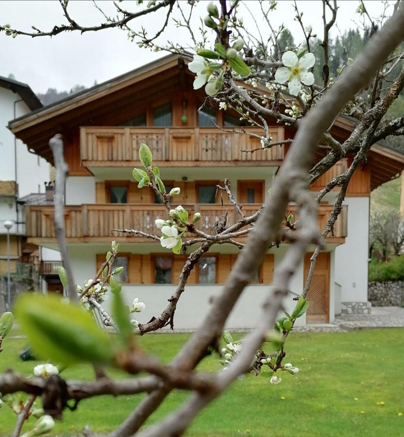 B&B Il Tulipano San Pietro di Cadore Εξωτερικό φωτογραφία