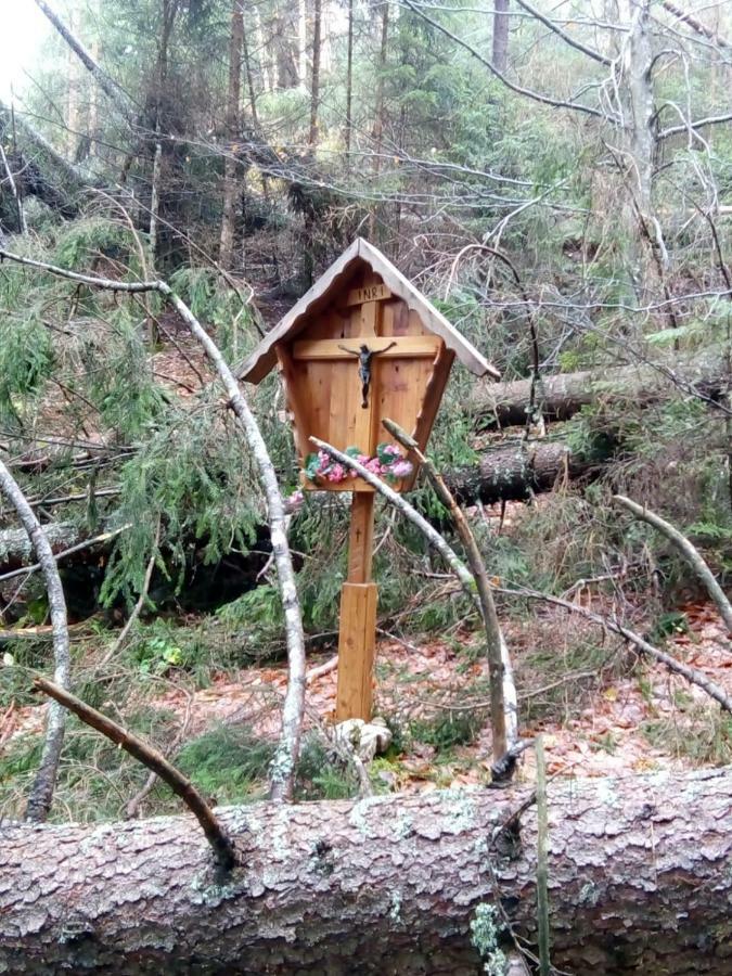 B&B Il Tulipano San Pietro di Cadore Εξωτερικό φωτογραφία