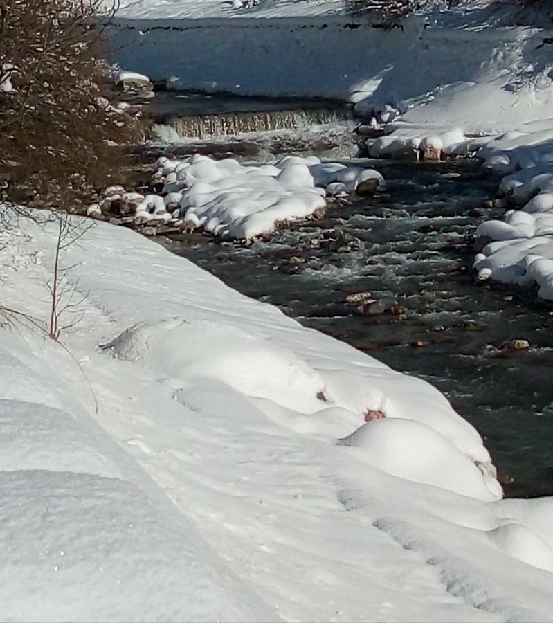 B&B Il Tulipano San Pietro di Cadore Εξωτερικό φωτογραφία